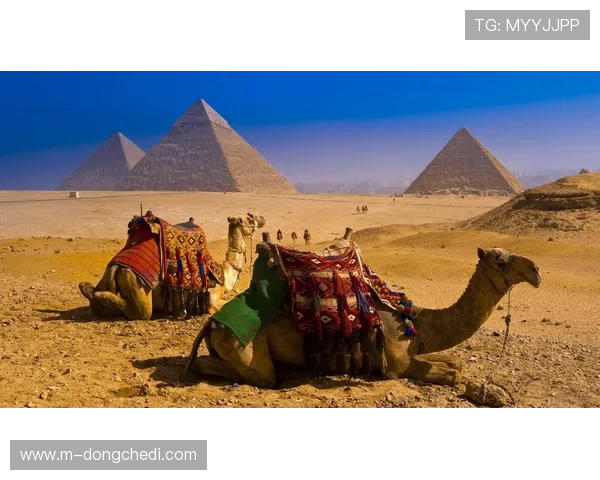 埃及金字塔队备战挑战者杯,将迎战美洲德比胜者 埃及金字塔队备战挑战者杯,将迎战美洲德比胜者